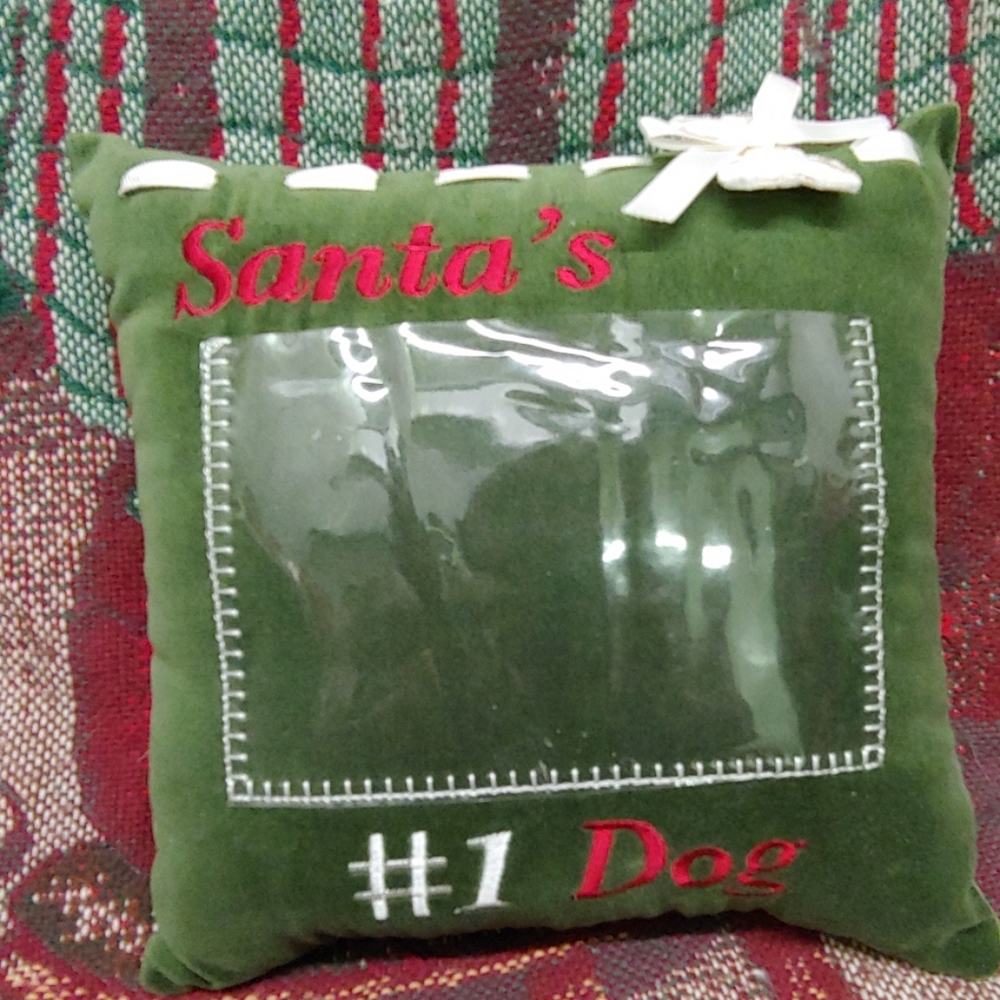 Green Decorative Pillow with place for photo